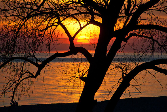 _DSC0009-130508